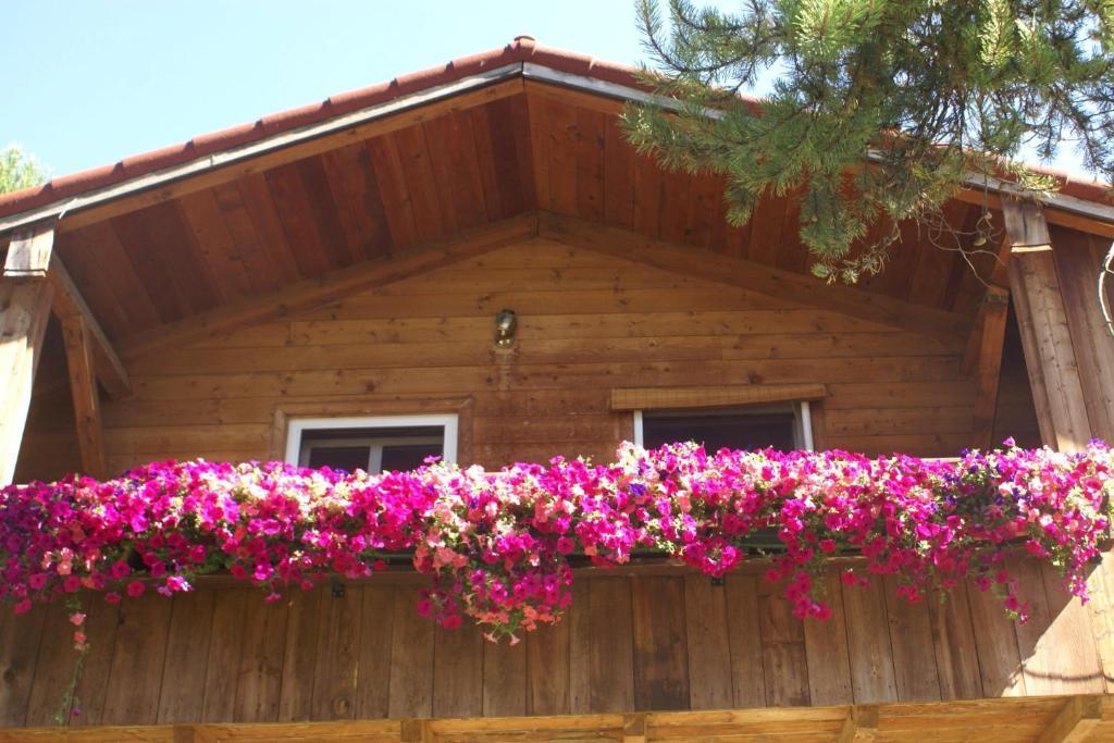 Alpenglow Bed And Breakfast Кімберлі Номер фото